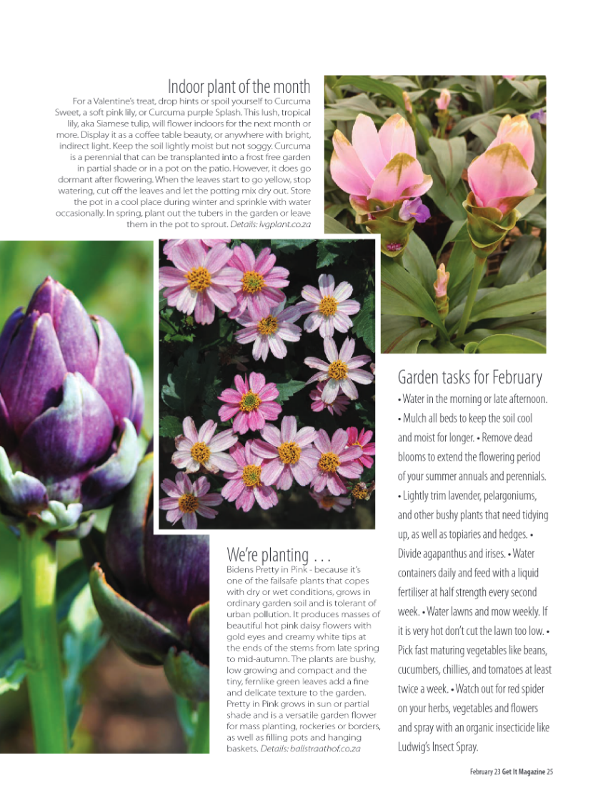 Get It North Feb 2023 page 25