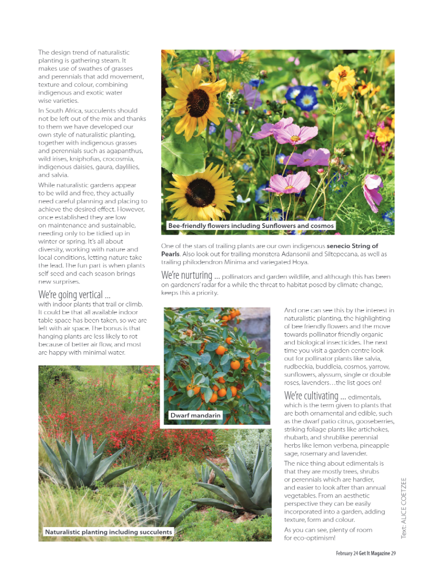 Get It North Feb 2024 page 29