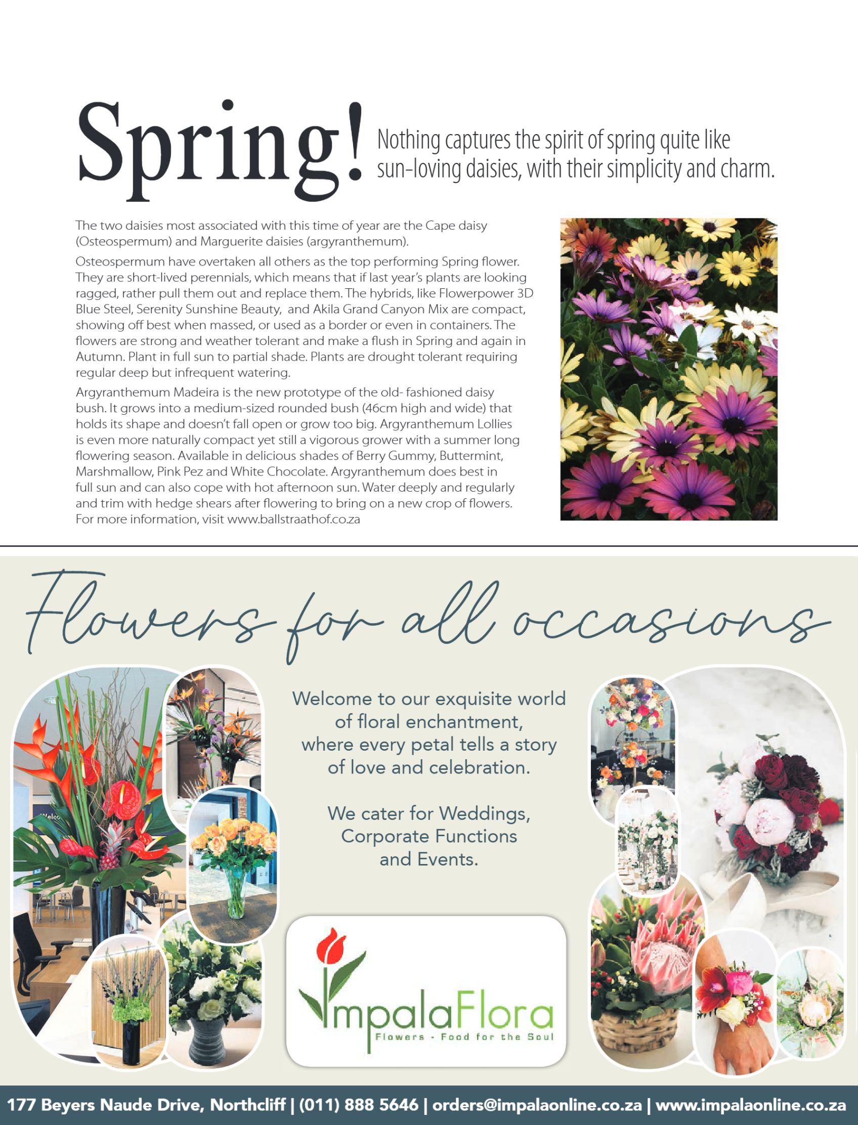 Get It North Sept 2025 page 29