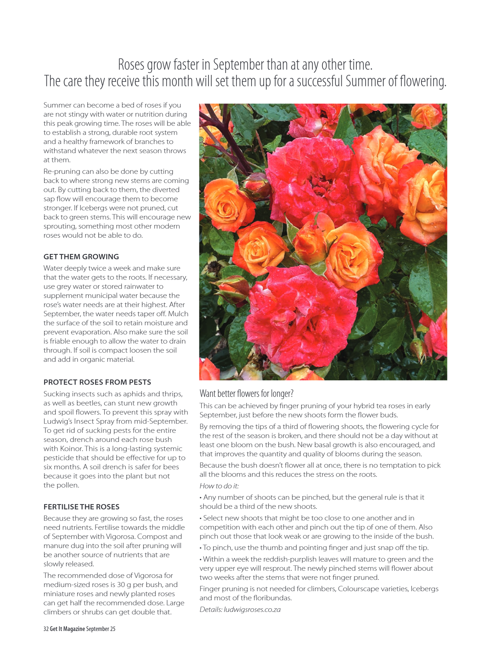 Get It North Sept 2025 page 32