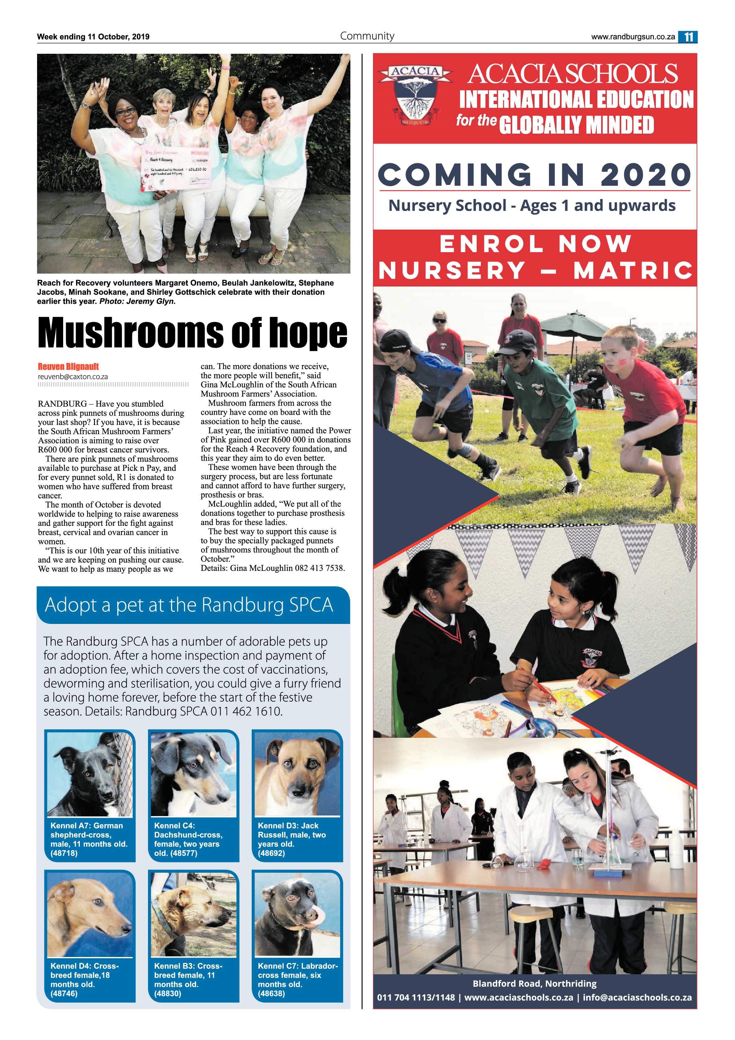 Randburg Sun 11 October, 2019 page 11