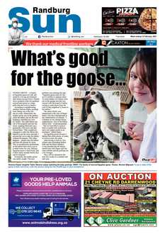 Randburg Sun 12 February 2021