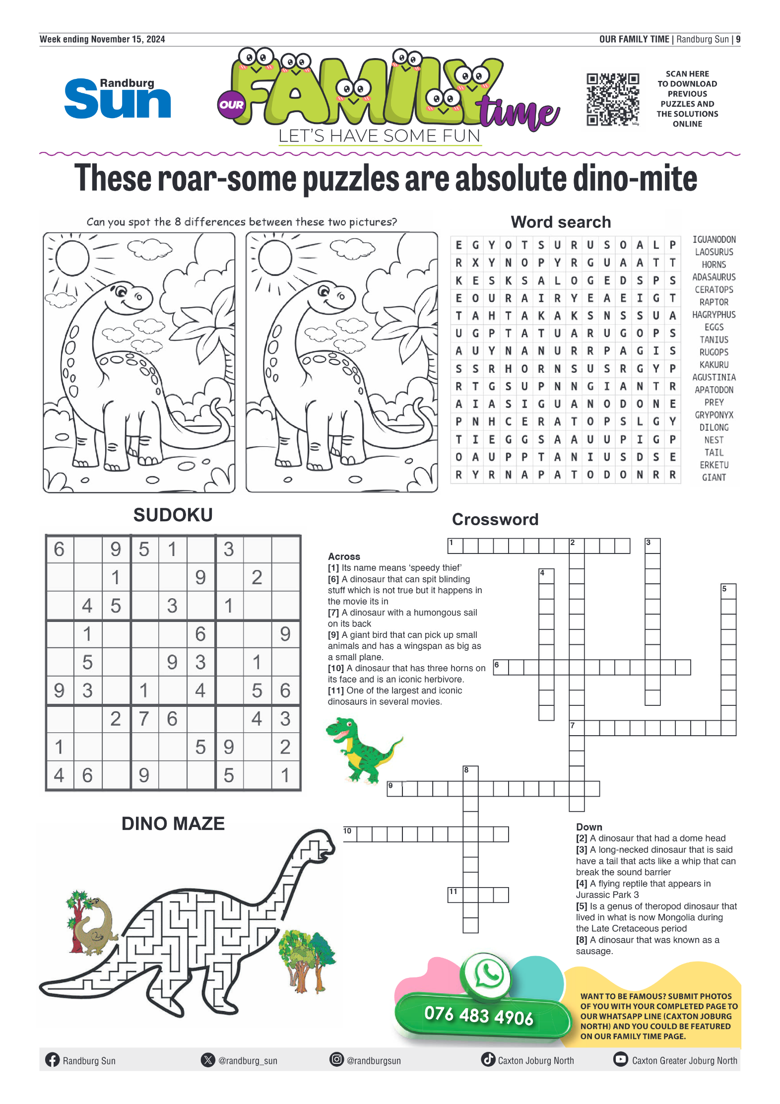 Randburg Sun 15 November 2024 page 9