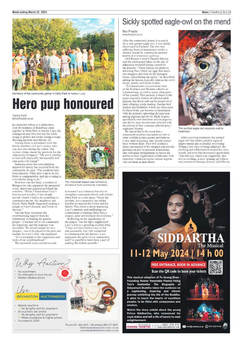 Randburg Sun 22 March 2024 page 3