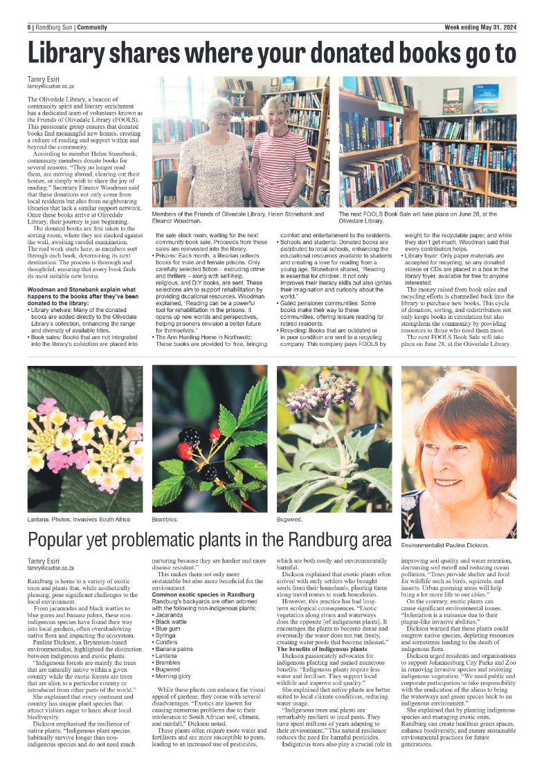 Randburg Sun 31 May 2024 page 6