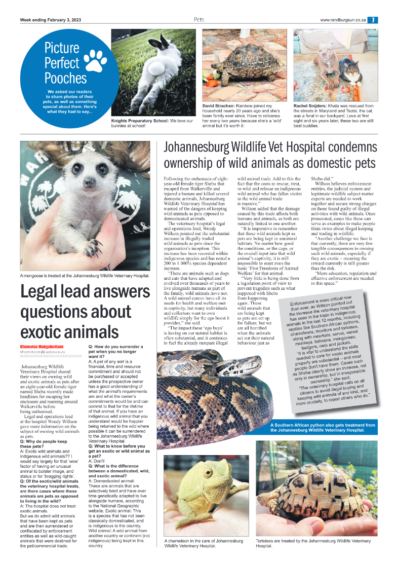 Randburg Sun 3 Feb 2023 page 7