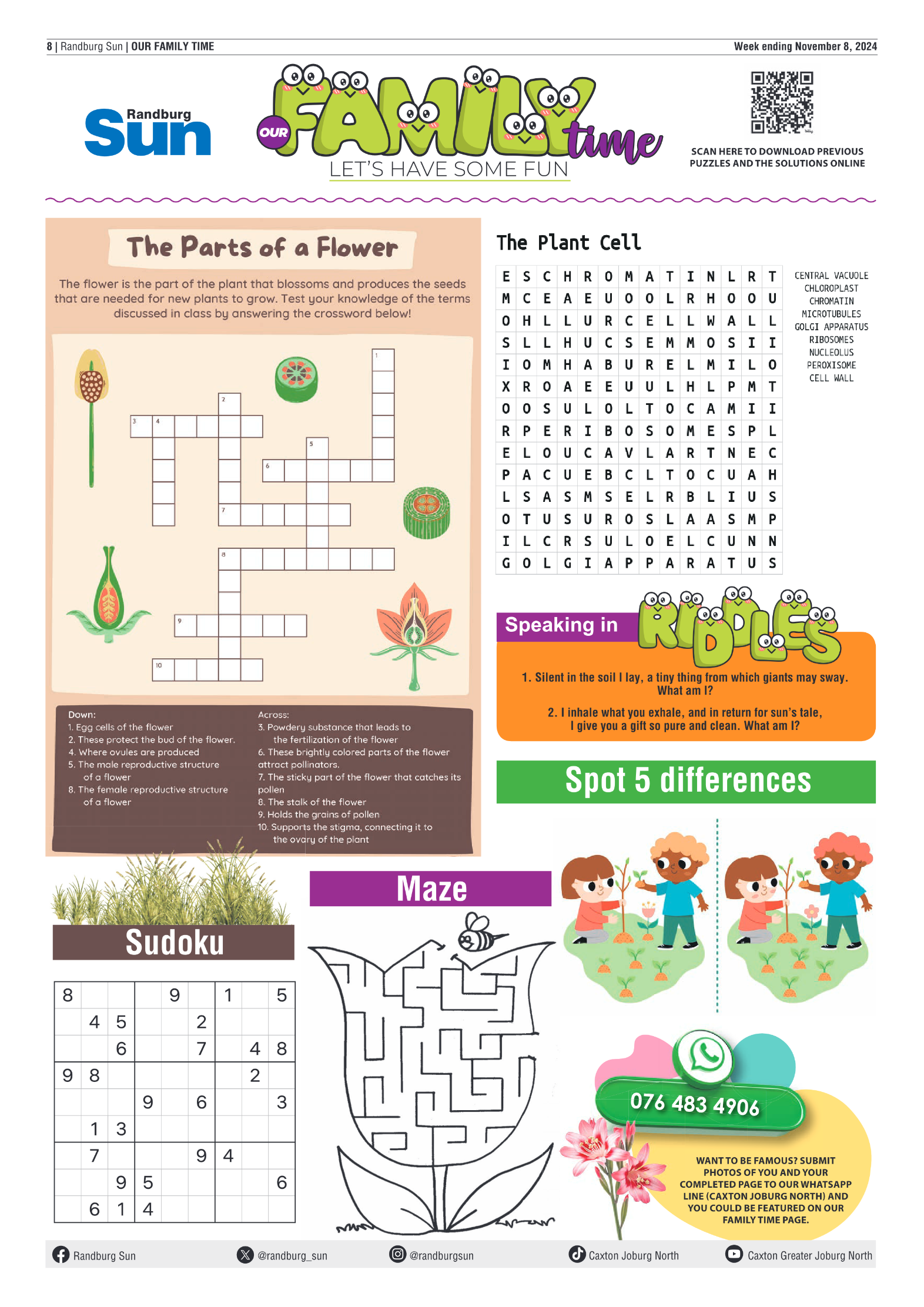 Randburg Sun 8 November 2024 page 8