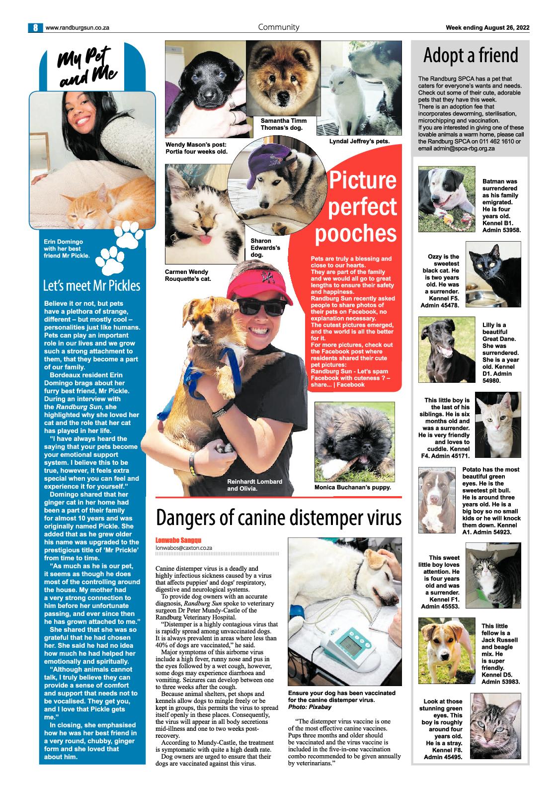 Randburg Sun August 26 2022 page 8