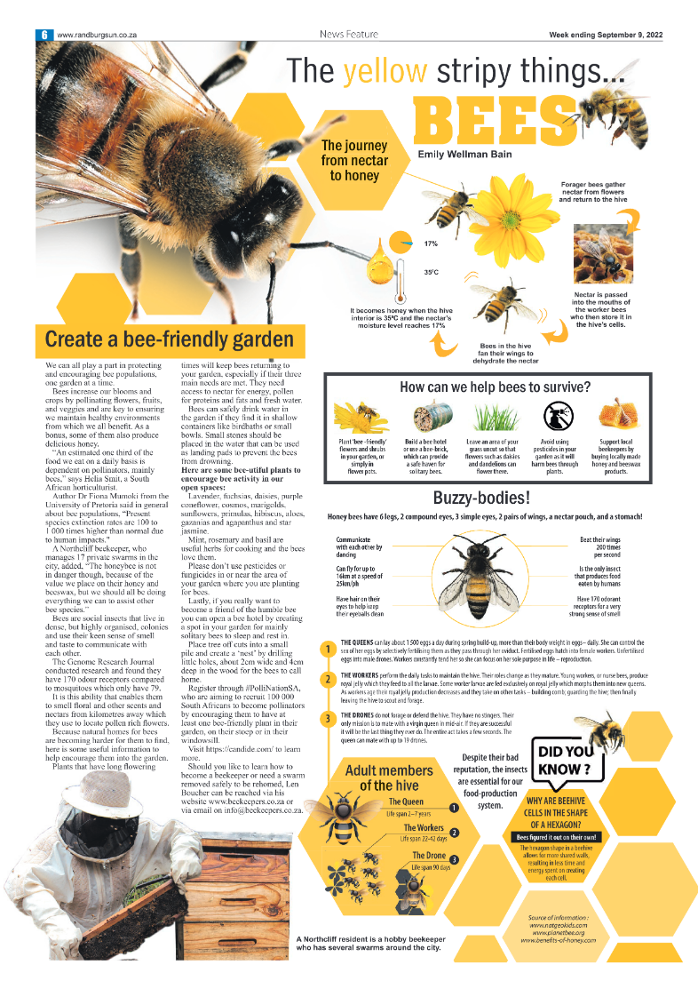 Randburg Sun September 9 2022 page 6